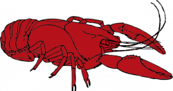 Louisiana Crawfish Clipart