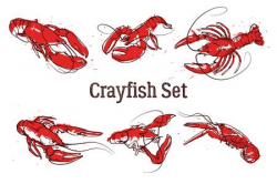 Crawfish Clipart border 11 - 450 X 300 Free Clip Art stock ...