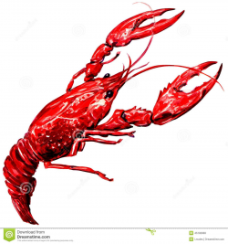 Boiled Crawfish Isolated - Download From Over 40 Million ...