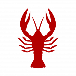 Crayfish Vector graphics Lobster Seafood boil Louisiana ...