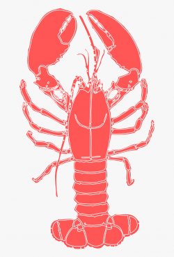 Lobster Crustacean Crab Crayfish Png Image - Lobster Clipart ...