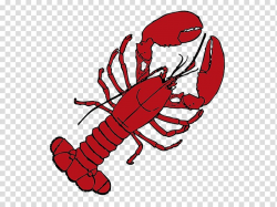 Crayfish Computer Icons , red lobster transparent background ...