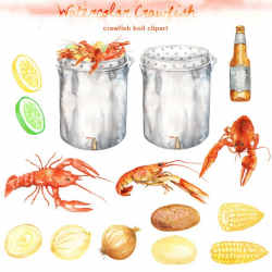 Watercolor Crawfish Boil Clipart - digital printable clipart - 300 dpi PNG,  transparent background