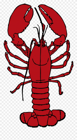 Clip Library Library Crawfish Clipart Boil - Lobster Clipart ...