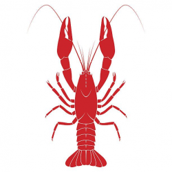 Red crayfish vector flat illustration isolated vector art ...