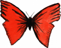 7 Watercolor Butterfly (PNG Transparent) | OnlyGFX.com