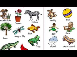Grade 1: Science Living And Non Living Things - YouTube
