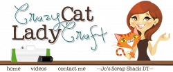 Crazy Cat Lady Craft