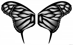 Butterfly Wings Animal free black white clipart images clipartblack ...