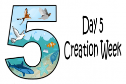 Day 5-God Created Birds and Fish – Mission Bible Class