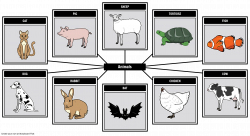 Visual Vocabulary: Animals Storyboard by oliversmith