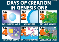 week-of-creation Genesis 1 | Creation 2 God designed ...