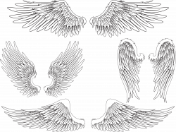 Angel wing Bird Feather - Creative wings 4785*3587 transprent Png ...
