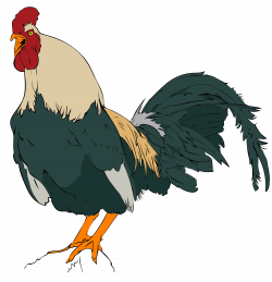 File rooster clipart svg wikimediamons - Clipartix