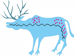 Reindeer Antler Clip art - Creative Creative picture deer 1730*1313 ...
