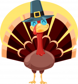 Thanksgiving Turkey Animal Jokes & Riddles Child Looking for ...