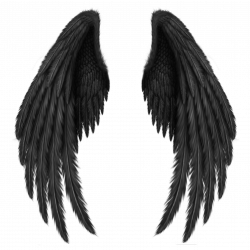 Transparent Black Wings PNG Clipart Picture | Artistically and ...