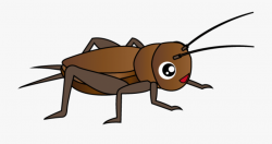 Cricket Insect Clipart Png - Cricket Bug Clipart, Cliparts ...