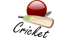 Diamond Harbour Cricket Club Junior Coaches wanted - Diamond ...