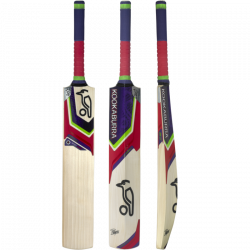 GM Icon Dxm 909 Cricket Bat - First Choice Cricket