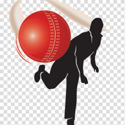 Indian Premier League Bowling (cricket) Cricket Balls Sport ...