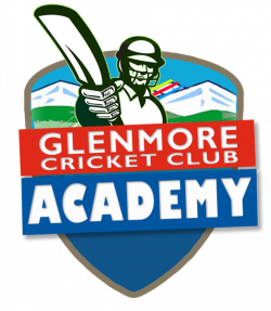 Logo Cricket Player of the match Clip art - cricket 522*600 ...