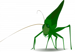 Clipart - grasshopper