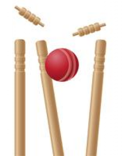 Cricket Wicket Free Vector Art - (131 Free Downloads)