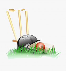 Svg Free Stock Cricket Clipart Hit Wicket - Cricket Wicket ...