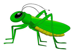Cricket Insect Clipart | Free download best Cricket Insect ...