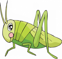 easy to draw cricket clipart Drawing Insect Clip art clipart ...