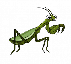 Grasshopper Cartoon Clip art - Cartoon grasshopper 1024*918 ...