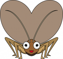 Cricket Insect PNG Transparent Images | PNG All