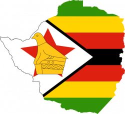 Zimbabwe's military seizes power overnight, says Mugabe in 