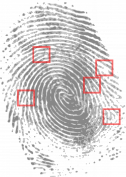 Fingerprint Clipart clear background - Free Clipart on ...