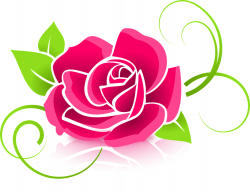 Imagen gratis en Pixabay - Rosa, Gráfico, Flor, Deco | Pinterest ...