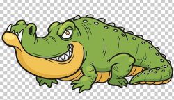 Crocodile Alligator PNG, Clipart, Amphibian, Angry, Animals ...