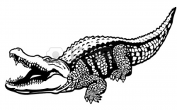 crocodile%20black%20and%20white | For the boys | Crocodile ...
