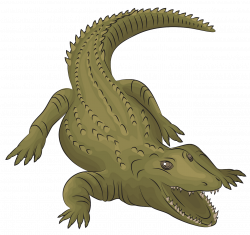 Nile Crocodile clipart. Free download. | Creazilla