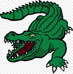 Alligator Cartoon png download - 4000*4072 - Free ...