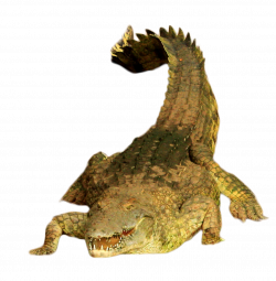 Green Crocodile PNG Image - PurePNG | Free transparent CC0 PNG Image ...