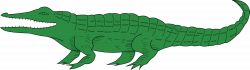 28+ Collection of Crocodile Clipart Transparent | High quality, free ...