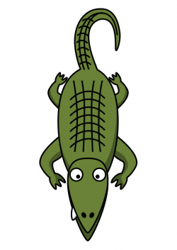 Crocodile Top View Clipart