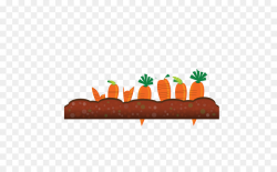 Carrot Crop Clip art - Crops Cliparts png download - 555*555 - Free ...
