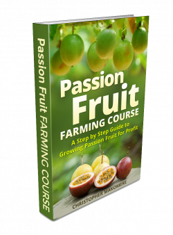 Passion Fruit Farming Course – A Step by Step Guide to Growing ...