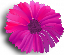 Crop Pink Flower Animated Clipart