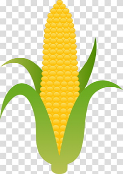 Crop Farm Agriculture , Ear Of Corn transparent background ...