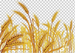 Download for free 10 PNG Crops clipart wheat Images With ...