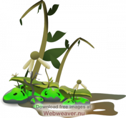 Dying Plant Clipart