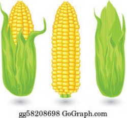 Corn Crop Clip Art - Royalty Free - GoGraph